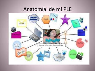 Anatomía de mi PLE 
Maestra. Delma Reyes Alarcón Lizárraga 
 