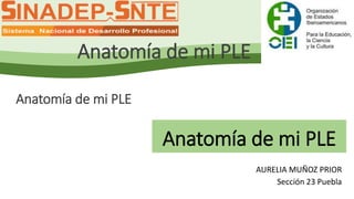 Anatomía de mi PLE 
Anatomía de mi PLE 
Anatomía de mi PLE 
AURELIA MUÑOZ PRIOR 
Sección 23 Puebla 
Anatomía de mi PLE 
 