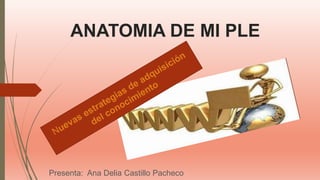 ANATOMIA DE MI PLE
Presenta: Ana Delia Castillo Pacheco
 