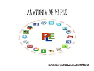 ANATOMIA DE MI PLE
ELABORÓ: GABRIELA LIMA FERNÁNDEZ
 