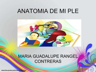 ANATOMIA DE MI PLE 
MARIA GUADALUPE RANGEL 
CONTRERAS 
 