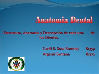 Estructura, Anatomía y Descripción de cada uno     de
                    los Dientes.

                      Carili E. Sosa Romney      81359
                      Argenis Santana            81372
 