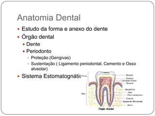 Anatomia Dental
 Estudo da forma e anexo do dente
 Órgão dental
 Dente
 Periodonto
 Proteção (Gengivas)
 Sustentação ( Ligamento periodontal, Cemento e Osso
alveolar)
 Sistema Estomatognático
 