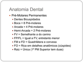 Anatomia Dental
 Pré-Molares Permanentes
 Dentes Bicuspidados
 Boca = 8 Pré-molares
 Arcada = 4 Pré-molares
 Hemi-Arcada = 2 Pré-molares
 FV = Semelhante a do canino
 FP/FL = Igual a FV, entretanto menor
 FM e FD = Quadrilátera e convexa
 FO = Rica em detalhes anatômicos (cúspides)
 Raiz = Única (1º PM Superior tem duas)
 