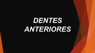 DENTES
ANTERIORES
13
 