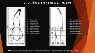 DIVISÃO DAS FACES DENTAIS
1. Disto-incisal
2. Disto-medial
3. Disto-cervical
4. Médio-incisal
5. Médio-mediano
6. Médio-cervical
7. Mésio-incisal
8. Mésio-mediano
9. Mésio-cervical
1. Cervico-lingual
2. Cervico-mediano
3. Cervico-vestibular
4. Médio-lingual
5. Médio-mediano
6. Médio-vestibular
7. Ocluso-lingual
8. Ocluso-mediano
9. Ocluso-vestibular
OBS: No caso de dentes posteriores, a nomenclatura troca: Terço INCISAL para terço OCLUSAL.
5
 