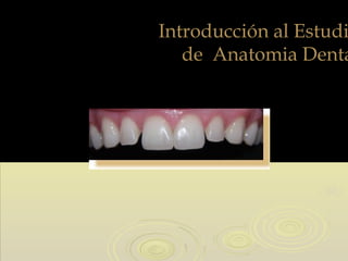 Introducción al EstudiIntroducción al Estudi
de Anatomia Dentade Anatomia Denta
 
