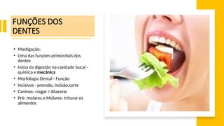 Anatomia Dental- Ementa- Introdução a Anatomia dental (8).pptx