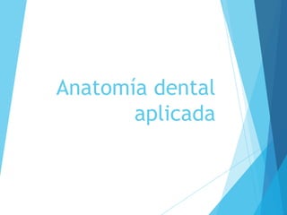 Anatomía dental
aplicada
 