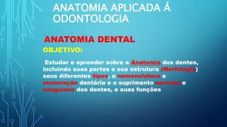 ANATOMIA APLICADA Á
ODONTOLOGIA
ANATOMIA DENTAL
OBJETIVO:
Estudar e aprender sobre a Anatomia dos dentes,
incluindo suas partes e sua estrutura (Morfologia)
seus diferentes tipos, a nomenclatura e
numeração dentária e o suprimento nervoso e
sanguíneo dos dentes, e suas funções
 
