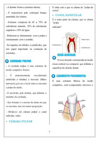 2
- A dentina forma a estrutura interna;
- É responsável pela coloração branco
amarelada dos dentes;
- Estrutura composta de 65 a 75% de
substâncias minerais, 25% de substâncias
orgânicas e 10% de água;
- Relaciona-se internamente com a polpa e
externamente com o esmalte;
- Se organiza em túbulos e canalículos, que
tem papel importante na condução de
estímulos.
CAVIDADE PULPAR
- A cavidade pulpar é uma estrutura de
tecido conjuntivo frouxo;
- É anatomicamente vascularizada
(arteríolas e vênulas) e inervada (filetes
nervosos), por ser o local onde se encontra
a polpa do dente;
- É envolvida pela dentina, que delimita o
tamanho da cavidade;
- Seu formato é o mesmo do dente em que
se encontra, mas em menor proporção;
- Divide-se em câmara pulpar e canal
radicular, onde:
 CÂMARA PULPAR
É onde está o que se chama de “polpa da
coroa”.
 CANAL RADICULAR
É a outra parte da câmara, que se chama
“polpa
radicular”.
OSSO ALVEOLAR
O osso alveolar correspondeao tecido
ósseo cortical ou compacto que delimita a
superfície do alvéolo dental.
LIGAMENTO PERIODONTAL
É uma estrutura fibrosa do tecido
conjuntivo, com componentes nervosos e
 