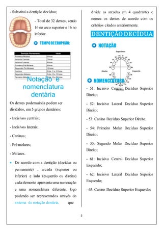 5
- Substitui a dentição decídua;
- Total de 32 dentes, sendo
16 no arco superior e 16 no
inferior.
TEMPODEERUPÇÃO:
Notação e
nomenclatura
dentária
Os dentes podemainda podem ser
divididos, em 5 grupos dentários:
- Incisivos centrais;
- Incisivos laterais;
- Caninos;
- Pré molares;
- Molares.
 De acordo com a dentição (decidua ou
permanente) , arcada (superior ou
inferior) e lado (esquerdo ou direito)
cadaelemento apresenta uma numeração
e uma nomenclatura diferente, logo
podendo ser representados através do
sistema de notação dentária, que
divide as arcadas em 4 quadrantes e
nomea os dentes de acordo com os
critérios citados anteriormente.
DENTIÇÃO DECÍDUA
NOTAÇÃO
NOMENCLATURA
- 51: Incisivo Central Decíduo Superior
Direito;
- 52: Incisivo Lateral Decíduo Superior
Direito;
- 53: Canino Decíduo Superior Direito;
- 54: Primeiro Molar Decíduo Superior
Direito;
- 55: Segundo Molar Decíduo Superior
Direito;
- 61: Incisivo Central Decíduo Superior
Esquerdo;
- 62: Incisivo Lateral Decíduo Superior
Esquerdo;
- 63: Canino Decíduo Superior Esquerdo;
 