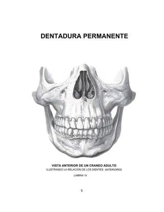 DENTADURA PERMANENTE




         5
 