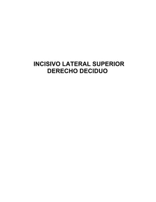 INCISIVO LATERAL SUPERIOR
    DERECHO DECIDUO
 