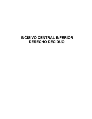 INCISIVO CENTRAL INFERIOR
    DERECHO DECIDUO
 