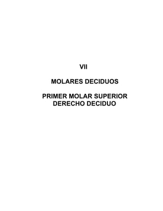 VII

  MOLARES DECIDUOS

PRIMER MOLAR SUPERIOR
   DERECHO DECIDUO
 