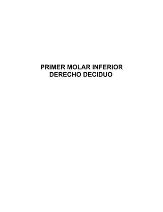 PRIMER MOLAR INFERIOR
  DERECHO DECIDUO
 