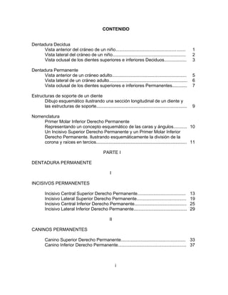 CONTENIDO


Dentadura Decidua
      Vista anterior del cráneo de un niño........................................................           1
      Vista lateral del cráneo de un niño...........................................................         2
      Vista oclusal de los dientes superiores e inferiores Deciduos..................                        3

Dentadura Permanente
      Vista anterior de un cráneo adulto............................................................         5
      Vista lateral de un cráneo adulto...............................................................       6
      Vista oclusal de los dientes superiores e inferiores Permanentes............                           7

Estructuras de soporte de un diente
      Dibujo esquemático ilustrando una sección longitudinal de un diente y
      las estructuras de soporte.........................................................................    9

Nomenclatura
     Primer Molar Inferior Derecho Permanente
     Representando un concepto esquemático de las caras y ángulos........... 10
     Un Incisivo Superior Derecho Permanente y un Primer Molar Inferior
     Derecho Permanente. Ilustrando esquemáticamente la división de la
     corona y raíces en tercios......................................................................... 11

                                                PARTE I

DENTADURA PERMANENTE

                                                    I

INCISIVOS PERMANENTES

        Incisivo Central Superior Derecho Permanente.......................................                 13
        Incisivo Lateral Superior Derecho Permanente........................................                19
        Incisivo Central Inferior Derecho Permanente..........................................              25
        Incisivo Lateral Inferior Derecho Permanente...........................................             29

                                                    II

CANINOS PERMANENTES

        Canino Superior Derecho Permanente.................................................... 33
        Canino Inferior Derecho Permanente....................................................... 37



                                                         i
 