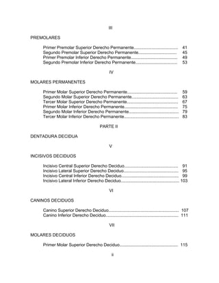 III

PREMOLARES

    Primer Premolar Superior Derecho Permanente.....................................             41
    Segundo Premolar Superior Derecho Permanente................................                 45
    Primer Premolar Inferior Derecho Permanente.......................................           49
    Segundo Premolar Inferior Derecho Permanente...................................              53

                                                IV

MOLARES PERMANENTES

    Primer Molar Superior Derecho Permanente..........................................           59
    Segundo Molar Superior Derecho Permanente.......................................             63
    Tercer Molar Superior Derecho Permanente...........................................          67
    Primer Molar Inferior Derecho Permanente.............................................        75
    Segundo Molar Inferior Derecho Permanente..........................................          79
    Tercer Molar Inferior Derecho Permanente..............................................       83

                                          PARTE II

DENTADURA DECIDUA

                                                V

INCISIVOS DECIDUOS

     Incisivo Central Superior Derecho Deciduo............................................. 91
     Incisivo Lateral Superior Derecho Deciduo.............................................. 95
     Incisivo Central Inferior Derecho Deciduo................................................ 99
     Incisivo Lateral Inferior Derecho Deciduo................................................. 103

                                                VI

CANINOS DECIDUOS

     Canino Superior Derecho Deciduo........................................................... 107
     Canino Inferior Derecho Deciduo............................................................. 111

                                                VII

MOLARES DECIDUOS

     Primer Molar Superior Derecho Deciduo................................................. 115

                                                  ii
 
