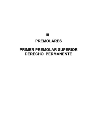 III
      PREMOLARES

PRIMER PREMOLAR SUPERIOR
  DERECHO PERMANENTE
 