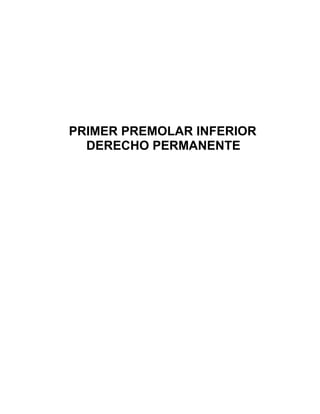 PRIMER PREMOLAR INFERIOR
  DERECHO PERMANENTE
 