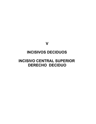 V

   INCISIVOS DECIDUOS

INCISIVO CENTRAL SUPERIOR
     DERECHO DECIDUO
 