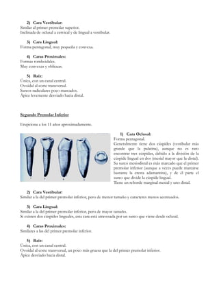 2) Cara Vestibular:
Similar al primer premolar superior.
Inclinada de oclusal a cervical y de lingual a vestibular.

   3) Cara Lingual:
Forma pentagonal, muy pequeña y convexa.

   4) Caras Proximales:
Formas romboidales.
Muy convexas y oblicuas.

   5) Raíz:
Única, con un canal central.
Ovoidal al corte transversal.
Surcos radiculares poco marcados.
Ápice levemente desviado hacia distal.



Segundo Premolar Inferior

Erupciona a los 11 años aproximadamente.

                                                                 1) Cara Oclusal:
                                                             Forma pentagonal.
                                                             Generalmente tiene dos cúspides (vestibular más
                                                             grande que la palatina), aunque no es raro
                                                             encontrar tres cúspides, debido a la división de la
                                                             cúspide lingual en dos (mesial mayor que la distal).
                                                             Su surco mesiodistal es más marcado que el primer
                                                             premolar inferior (aunque a veces puede marcarse
                                                             bastante la cresta adamantina), y de él parte el
                                                             surco que divide la cúspide lingual.
                                                             Tiene un reborde marginal mesial y uno distal.

   2) Cara Vestibular:
Similar a la del primer premolar inferior, pero de menor tamaño y caracteres menos acentuados.

    3) Cara Lingual:
Similar a la del primer premolar inferior, pero de mayor tamaño.
Si existen dos cúspides linguales, esta cara está atravesada por un surco que viene desde oclusal.

   4) Caras Proximales:
Similares a las del primer premolar inferior.

   5) Raíz:
Única, con un canal central.
Ovoidal al corte transversal, un poco más gruesa que la del primer premolar inferior.
Ápice desviado hacia distal.
 