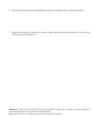 6. ¿Qué dientes presentan una alta posibilidad de variar su cantidad de raíces y canales radiculares?




7. ¿Qué dientes pueden no formarse de manera normal (agenesia) más frecuentemente? A qué se debe
   evolutivamente este fenómeno?




Objetivos: sentar las bases teóricas para el reconocimiento rápido de un diente, así como recordar la
anatomía dental para su uso posterior en rehabilitación.
Reconocer variaciones normales en un arco dental o bien en un diente.
 