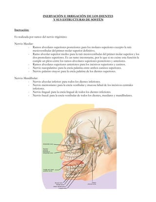 INERVACIÓN E IRRIGACIÓN DE LOS DIENTES
                            Y SUS ESTRUCTURAS DE SOSTÉN


Inervación:

Es realizada por ramos del nervio trigémino:

Nervio Maxilar:
          - Ramos alveolares superiores posteriores: para los molares superiores excepto la raíz
               mesiovestibular del primer molar superior definitivo.
          - Ramo alveolar superior medio: para la raíz mesiovestibular del primer molar superior y los
               dos premolares superiores. Es un ramo inconstante, por lo que si no existe esta función la
               cumple un plexo entre los ramos alveolares superiores posteriores y anteriores.
          - Ramos alveolares superiores anteriores: para los incisivos superiores y caninos.
          - Nervio nasopalatino: para la encía palatina entre ambos caninos superiores.
          - Nervio palatino mayor: para la encía palatina de los dientes superiores.

Nervio Mandibular:
          - Nervio alveolar inferior: para todos los dientes inferiores.
          - Nervio mentoniano: para la encía vestibular y mucosa labial de los incisivos centrales
             inferiores.
          - Nervio lingual: para la encía lingual de todos los dientes inferiores.
          - Nervio bucal: para la encía vestibular de todos los dientes, maxilares y mandibulares.
 