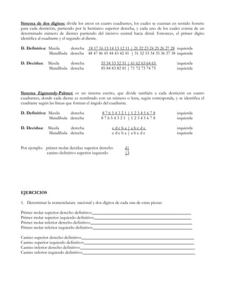 Sistema de dos dígitos: divide los arcos en cuatro cuadrantes, los cuales se cuentan en sentido horario
para cada dentición, partiendo por la hemiarco superior derecha, y cada uno de los cuales consta de un
determinado número de dientes partiendo del incisivo central hacia distal. Entonces, el primer dígito
identifica al cuadrante y el segundo al diente.

D. Definitiva: Maxila    derecha 18 17 16 15 14 13 12 11 | 21 22 23 24 25 26 27 28 izquierda
               Mandíbula derecha 48 47 46 45 44 43 42 41 | 31 32 33 34 35 36 37 38 izquierda

D. Decidua:    Maxila    derecha              55 54 53 52 51 | 61 62 63 64 65          izquierda
               Mandíbula derecha              85 84 83 82 81 | 71 72 73 74 75          izquierda




Sistema Zigmondy-Palmer: es un sistema escrito, que divide también a cada dentición en cuatro
cuadrantes, donde cada diente es nombrado con un número o letra, según corresponda, y se identifica el
cuadrante según las líneas que forman el ángulo del cuadrante.

D. Definitiva: Maxila    derecha              87654321|12345678                        izquierda
               Mandíbula derecha              87654321 |12345678                       izquierda

D. Decidua:    Maxila    derecha                    edcba|abcde                        izquierda
               Mandíbula derecha                    edcba|abcde                        izquierda


Por ejemplo: primer molar deciduo superior derecho         d|
             canino definitivo superior izquierdo          |3




EJERCICIOS

1. Determinar la nomenclatura nacional y dos dígitos de cada una de estas piezas:

Primer molar superior derecho definitivo:_____________________________________________
Primer molar superior izquierdo definitivo:____________________________________________
Primer molar inferior derecho definitivo:______________________________________________
Primer molar inferior izquierdo definitivo:_____________________________________________

Canino superior derecho definitivo:___________________________________________________
Canino superior izquierdo definitivo:__________________________________________________
Canino inferior derecho definitivo:____________________________________________________
Canino inferior izquierdo definitivo:___________________________________________________
 
