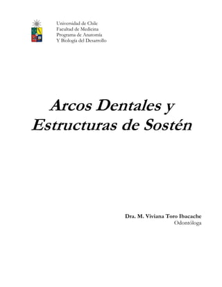 Universidad de Chile
   Facultad de Medicina
   Programa de Anatomía
   Y Biología del Desarrollo




  Arcos Dentales y
Estructuras de Sostén



                               Dra. M. Viviana Toro Ibacache
                                                  Odontóloga
 