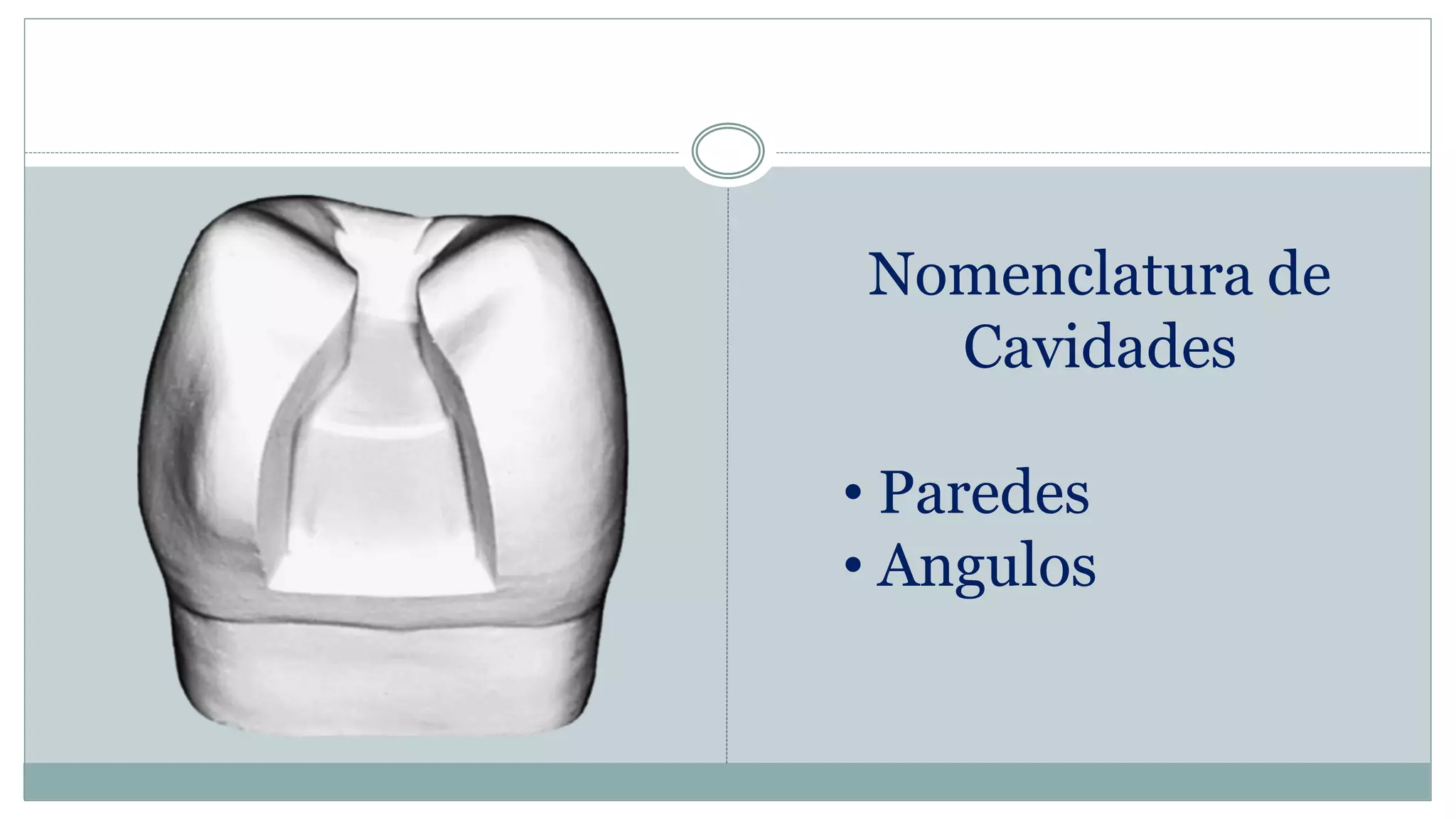 Anatom a Dentaria Y Planimetr a Cavitaria 2022 pdf anatom-a-dentaria-y-planimetr-a-cavitaria-2022-pdf