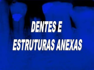 DENTES E ESTRUTURAS ANEXAS
