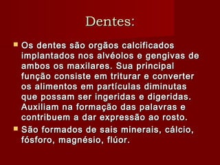 DentesDentes::
 Os dentes são orgãos calcificadosOs dentes são orgãos calcificados
implantados nos alvéolos e gengivas deimplantados nos alvéolos e gengivas de
ambos os maxilares. Sua principalambos os maxilares. Sua principal
função consiste em triturar e converterfunção consiste em triturar e converter
os alimentos em partículas diminutasos alimentos em partículas diminutas
que possam ser ingeridas e digeridas.que possam ser ingeridas e digeridas.
Auxiliam na formação das palavras eAuxiliam na formação das palavras e
contribuem a dar expressão ao rosto.contribuem a dar expressão ao rosto.
 São formados de sais minerais, cálcio,São formados de sais minerais, cálcio,
fósforo, magnésio, flúor.fósforo, magnésio, flúor.
 