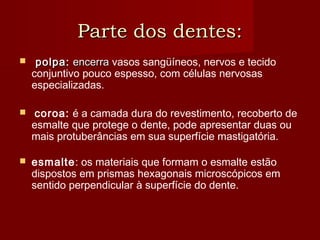 Parte dos dentes:Parte dos dentes:
 polpa:polpa: encerraencerra vasos sangüíneos, nervos e tecido
conjuntivo pouco espesso, com células nervosas
especializadas.
 coroa: é a camada dura do revestimento, recoberto de
esmalte que protege o dente, pode apresentar duas ou
mais protuberâncias em sua superfície mastigatória.
 esmalte: os materiais que formam o esmalte estão
dispostos em prismas hexagonais microscópicos em
sentido perpendicular à superfície do dente.
 