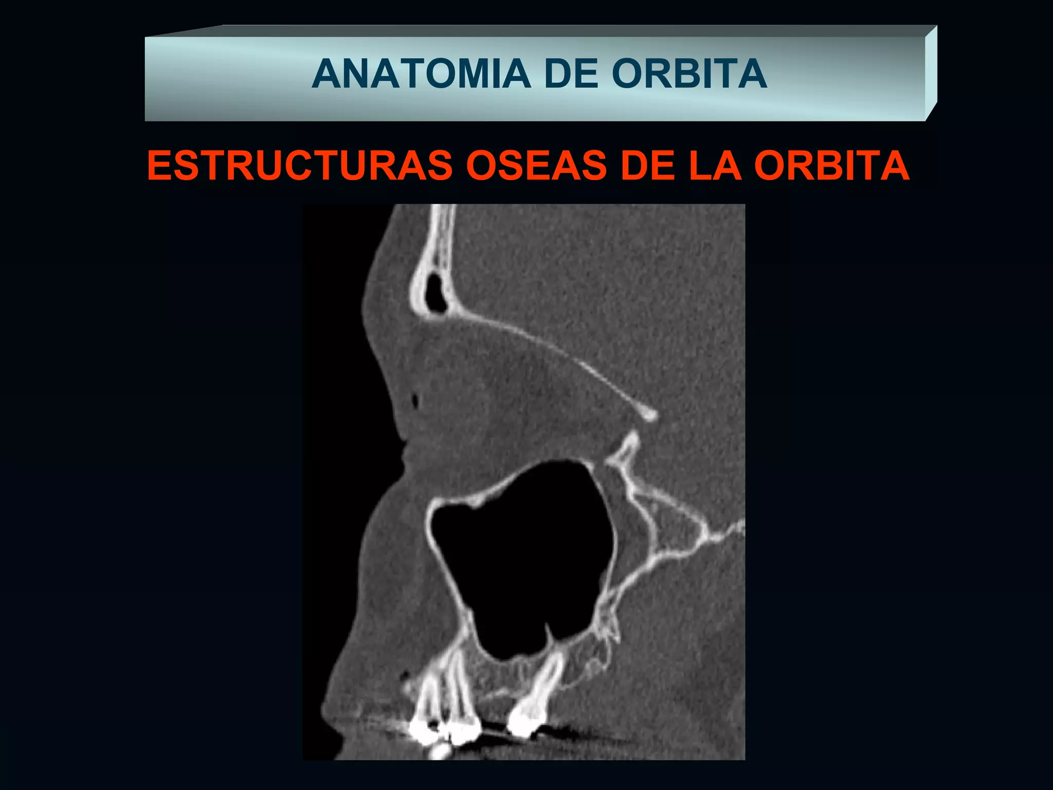 Anatomía de Orbita | PPT