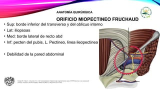 ORIFICIO MIOPECTINEO FRUCHAUD
• Sup: borde inferior del transverso y del oblicuo interno
• Lat: iliopsoas
• Med: borde lateral de recto abd
• Inf: pecten del pubis, L. Pectineo, linea ileopectinea
• Debilidad de la pared abdominal
Furtado M, Claus C, Cavazzola T L, et al. Systematization of laparoscopic inguinal hernia repair (TAPP) based on a new anatomical
concept: inverted Y and five triangles. ABCD Arq Bras Cir Dig.2019;32(1):e1426.
ANATOMÍA QUIRÚRGICA
 
