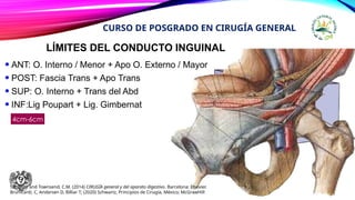 LÍMITES DEL CONDUCTO INGUINAL
•ANT: O. Interno / Menor + Apo O. Externo / Mayor
•POST: Fascia Trans + Apo Trans
•SUP: O. Interno + Trans del Abd
•INF:Lig Poupart + Lig. Gimbernat
CURSO DE POSGRADO EN CIRUGÍA GENERAL
4cm-6cm
Sabiston and Townsend, C.M. (2014) CIRUGÍA general y del aparato digestivo. Barcelona: Elsevier.
Brunicardi, C, Andersen D, Billiar T; (2020) Schwartz, Principios de Cirugía, México; McGrawHill
 