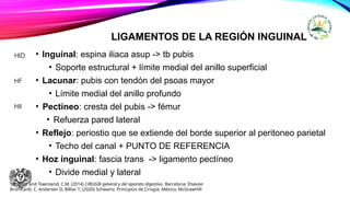 LIGAMENTOS DE LA REGIÓN INGUINAL
• Inguinal: espina iliaca asup -> tb pubis
• Soporte estructural + límite medial del anillo superficial
• Lacunar: pubis con tendón del psoas mayor
• Límite medial del anillo profundo
• Pectíneo: cresta del pubis -> fémur
• Refuerza pared lateral
• Reflejo: periostio que se extiende del borde superior al peritoneo parietal
• Techo del canal + PUNTO DE REFERENCIA
• Hoz inguinal: fascia trans -> ligamento pectíneo
• Divide medial y lateral
HID
HF
HII
Sabiston and Townsend, C.M. (2014) CIRUGÍA general y del aparato digestivo. Barcelona: Elsevier.
Brunicardi, C, Andersen D, Billiar T; (2020) Schwartz, Principios de Cirugía, México; McGrawHill
 