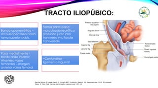 TRACTO ILIOPÚBICO:
Banda aponeurótica –
arco ileopectíneo hasta
ramo superior pubis.
Forma parte capa
musculopaoneurótica
profunda junto con
transverso y su fascia
transversalis
Pasa medialmente
borde anillo interno;
Atraviesa vasos
femorales – margen
anterior vaina femoral
~Confundirse –
ligamento inguinal
Parrilla Paricio P, Landa García JI. Cirugía AEC 2ᵃ edición. Madrid: Ed. Panamericana. 2010. F.Carbonell
Tatay. X. Feliu Palá. Hernias de la región inguinocrural: 203-18.
 