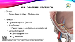 ANILLO INGUINAL PROFUNDO
• Situado:
• Espina iliaca AntSup + Sínfisis pubis
• Formado :
• Ligamento inguinal (encima)
• Arco femoral
• Fascia trans -> epigástrico inferior (lateral)
• Conducto inguinal
• Cordón espermático
• Lig. Redondo
Sabiston and Townsend, C.M. (2014) CIRUGÍA general y del aparato digestivo. Barcelona: Elsevier.
Brunicardi, C, Andersen D, Billiar T; (2020) Schwartz, Principios de Cirugía, México; McGrawHill
 