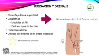 IRRIGACIÓN Y DRENAJE
• Circunfleja Iliaca superficial
• Epigastrica
• Mediales al AII
• Definen tipos de hernias
• Pudenda externa
• Disecar por encima de la cintila iliopúbica
Nacen y drenan de la A y V Femoral proximal
Rechazarlos o dividirlos
Sabiston and Townsend, C.M. (2014) CIRUGÍA general y del aparato digestivo. Barcelona: Elsevier.
Brunicardi, C, Andersen D, Billiar T; (2020) Schwartz, Principios de Cirugía, México; McGrawHill
 