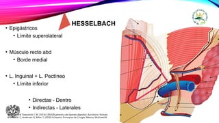 HESSELBACH
• Epigástricos
• Límite superolateral
• Músculo recto abd
• Borde medial
• L. Inguinal + L. Pectíneo
• Límite inferior
• Directas - Dentro
• Indirectas - Laterales
Sabiston and Townsend, C.M. (2014) CIRUGÍA general y del aparato digestivo. Barcelona: Elsevier.
Brunicardi, C, Andersen D, Billiar T; (2020) Schwartz, Principios de Cirugía, México; McGrawHill
 
