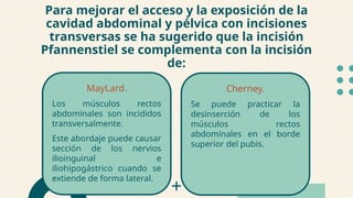 Anatomia de pared anterolateral del abdomen y Operación Cesárea.pptx