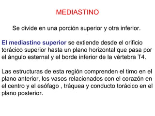 MEDIASTINO
Se divide en una porción superior y otra inferior.
El mediastino superior se extiende desde el orificio
torácico superior hasta un plano horizontal que pasa por
el ángulo esternal y el borde inferior de la vértebra T4.
Las estructuras de esta región comprenden el timo en el
plano anterior, los vasos relacionados con el corazón en
el centro y el esófago , tráquea y conducto torácico en el
plano posterior.
 