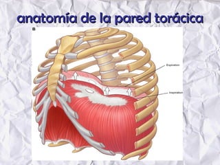 anatomía de la pared torácicaanatomía de la pared torácica
 