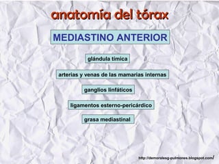 anatomía del tóraxanatomía del tórax
MEDIASTINO ANTERIOR
glándula tímica
arterias y venas de las mamarias internas
ganglios linfáticos
ligamentos esterno-pericárdico
grasa mediastinal
http://demoralesg-pulmones.blogspot.com/
 