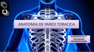 ANATOMIA DE PARED TORACICA
RESIDENTES DE 1°
POSTGRADO
NEUMONOLOGIA
 