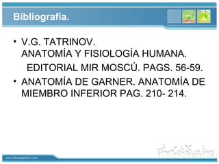 www.themegallery.com
Bibliografía.
• V.G. TATRINOV.
ANATOMÍA Y FISIOLOGÍA HUMANA.
EDITORIAL MIR MOSCÚ. PAGS. 56-59.
• ANATOMÍA DE GARNER. ANATOMÍA DE
MIEMBRO INFERIOR PAG. 210- 214.
 