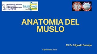 ANATOMIADEL
MUSLO
Septiembre 2023
R1 Dr. Edgardo Guanipa
 